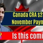 Canada CRA $2350 November Payment