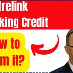 Centrelink Working Credit