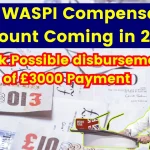 DWP WASPI Compensation Amount Coming in 2024, Check Possible disbursement of £3000 Payment