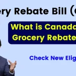 Grocery Rebate Bill (C-46) 2024: What is Canada's New Grocery Rebate Bill? Check New Eligibility