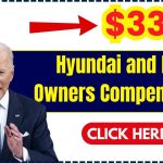 Hyundai and Kia Car Owners