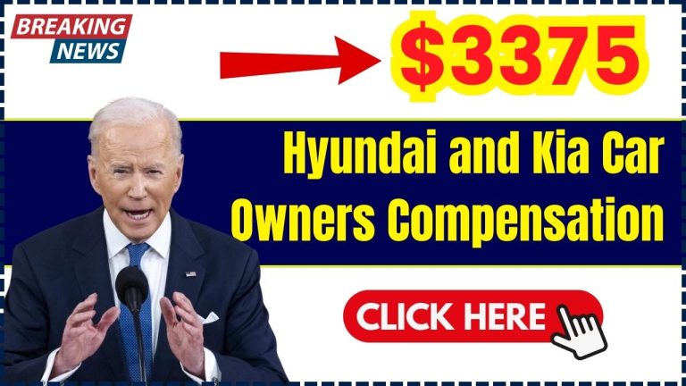 Hyundai and Kia Car Owners