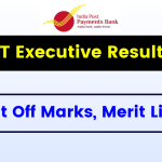 India Post Payment Bank IPPB IT Executive Result 2024 - Check Cut Off Marks, Merit List