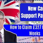 New Carer Support Payment