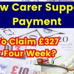 New Carer Support Payment