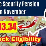 Old Age Security Pension