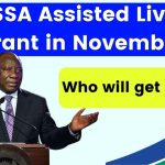 SASSA Assisted Living Grant in November 2025