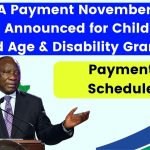 SASSA Payment November 2024 Dates Announced