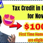 $10000 Tax Credit in Canada for November