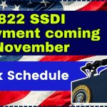 $3,822 SSDI Payment coming in November