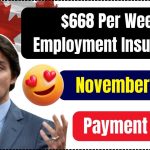 $668 Per Week Employment Insurance Payments In November