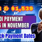 $698 & $1,539 SSI, SSDI Payment Coming in November