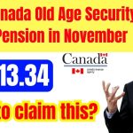 $713.34 Canada Old Age Security Pension