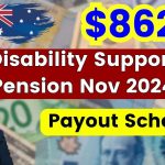 $862 Disability Support Pension Nov 2024