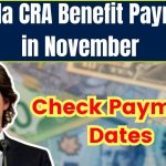 Canada CRA Benefit Payments in November