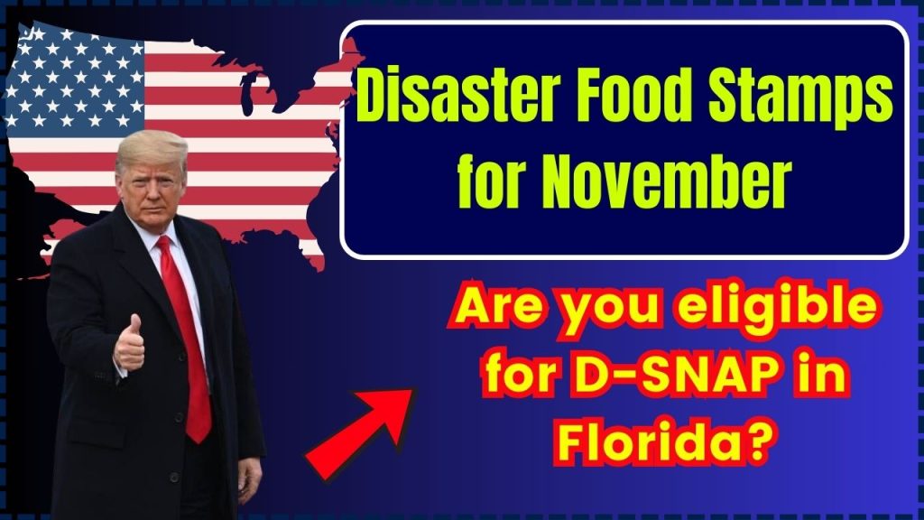 Disaster Food Stamps for November