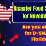 Disaster Food Stamps for November