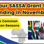 Is Your SASSA Grant Still Pending in November