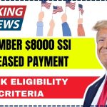 November $8000 SSI Increased Payment