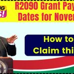 R2090 Grant Payment Dates for November