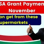 SASSA Grant Payment for November