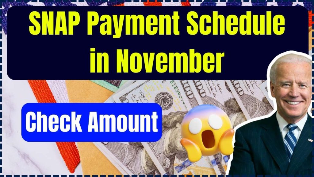 SNAP Payment Schedule in November