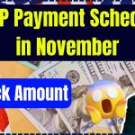 SNAP Payment Schedule in November