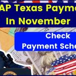 SNAP Texas Payment In November