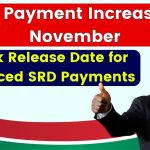 SRD Payment Increase in November 2024