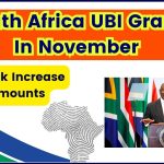 South Africa UBI Grants In November