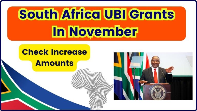 South Africa UBI Grants In November