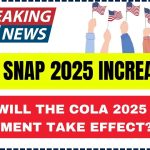 Texas SNAP 2025 Increase