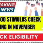 USA $800 Stimulus Check Coming in November